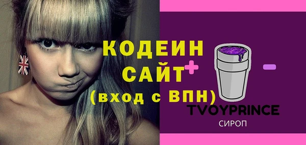 ПСИЛОЦИБИНОВЫЕ ГРИБЫ Михайлов