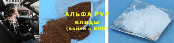 ПСИЛОЦИБИНОВЫЕ ГРИБЫ Михайлов