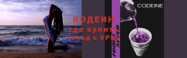 ПСИЛОЦИБИНОВЫЕ ГРИБЫ Михайлов