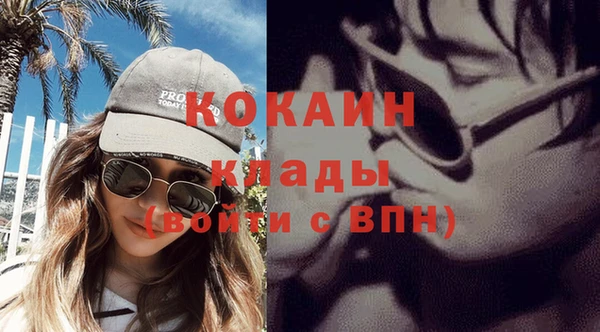 ПСИЛОЦИБИНОВЫЕ ГРИБЫ Михайлов