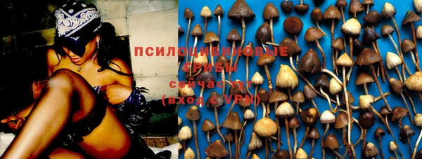 герыч Зеленокумск
