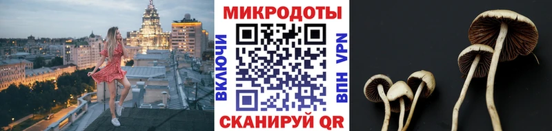 Галлюциногенные грибы мухоморы  Лодейное Поле 