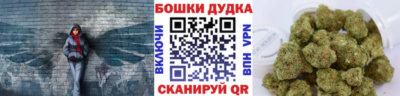 как найти наркотики  MEGA зеркало  Каннабис марихуана  Лодейное Поле 
